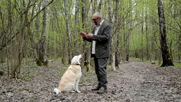 «Время Кибирова»