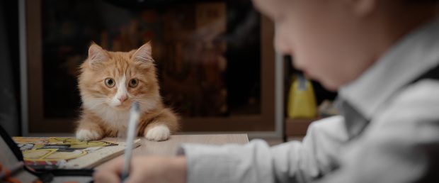 Первый урок